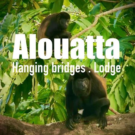 Alouatta Lodge And Canopy กาอุยตา ภายนอก รูปภาพ