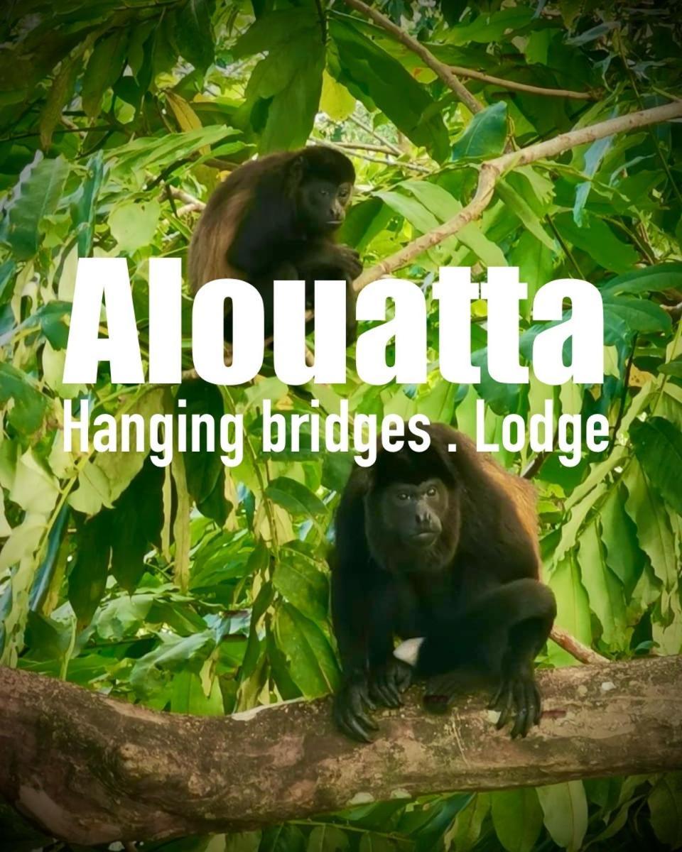 Alouatta Lodge And Canopy กาอุยตา ภายนอก รูปภาพ