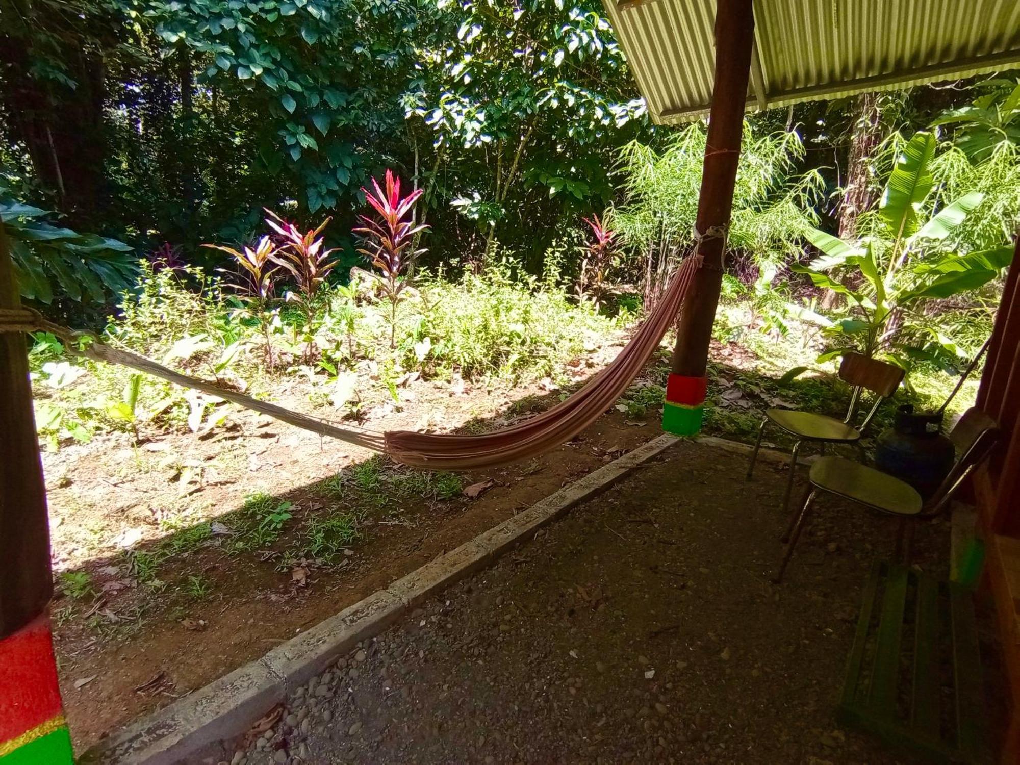 Alouatta Lodge And Canopy กาอุยตา ภายนอก รูปภาพ