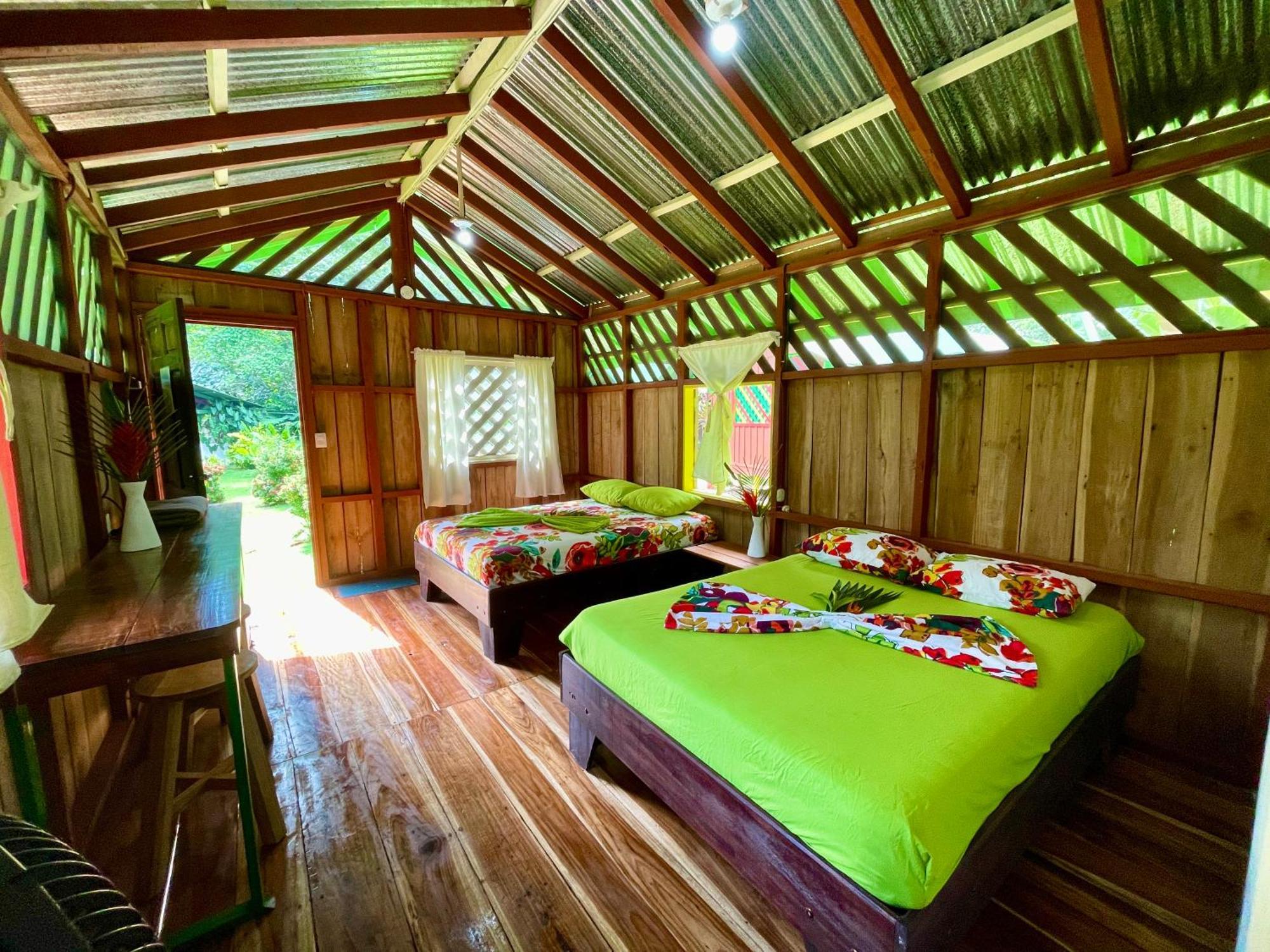 Alouatta Lodge And Canopy กาอุยตา ภายนอก รูปภาพ