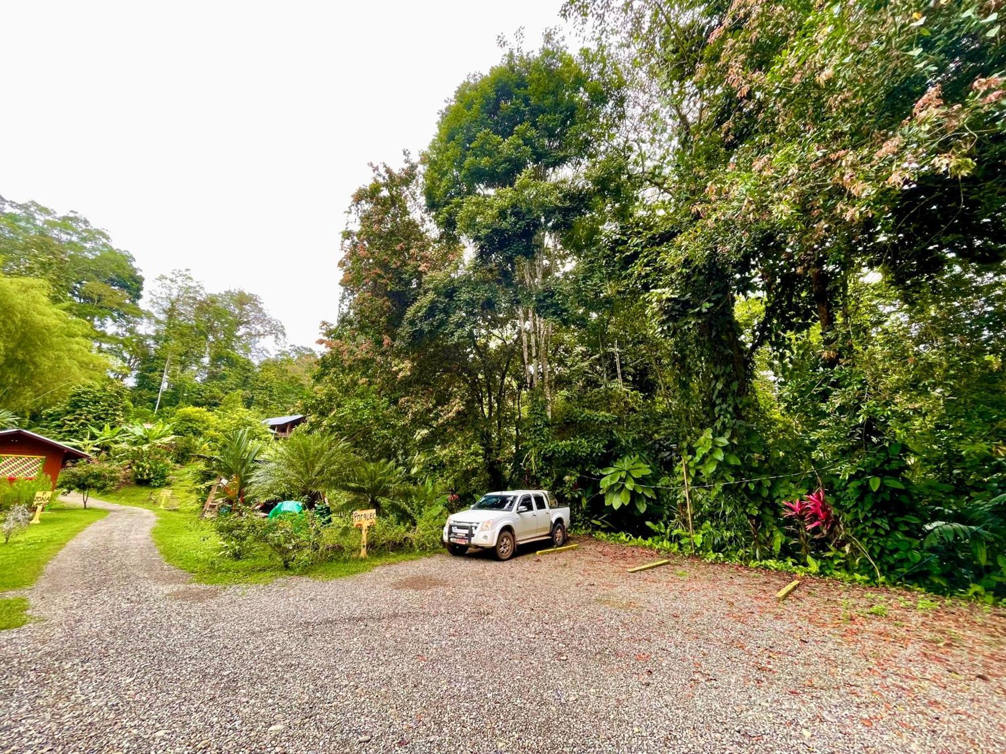 Alouatta Lodge And Canopy กาอุยตา ภายนอก รูปภาพ