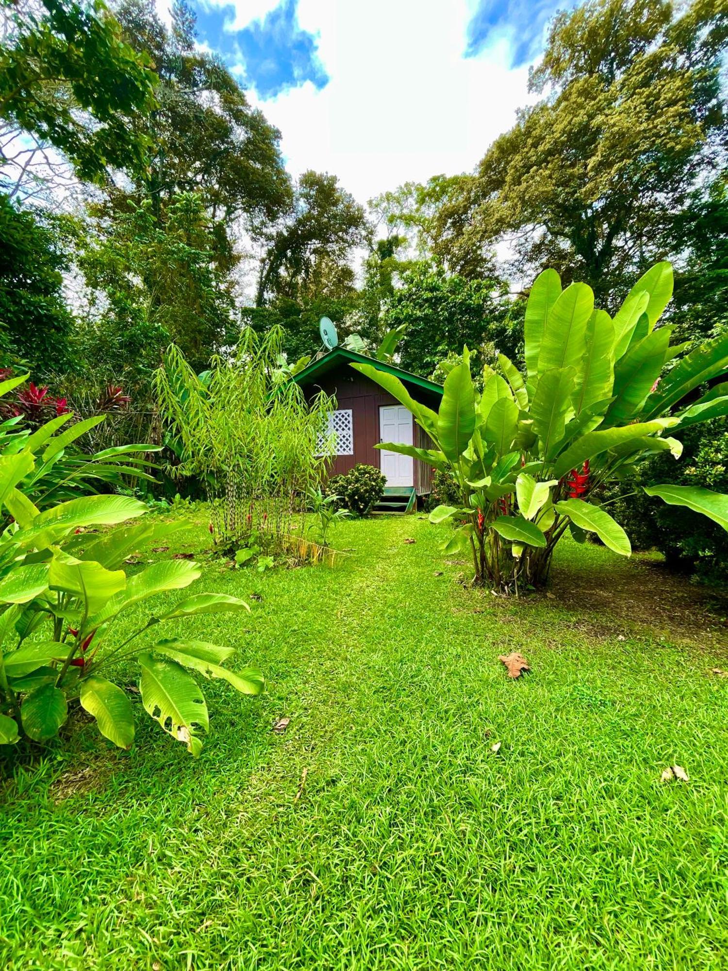 Alouatta Lodge And Canopy กาอุยตา ภายนอก รูปภาพ