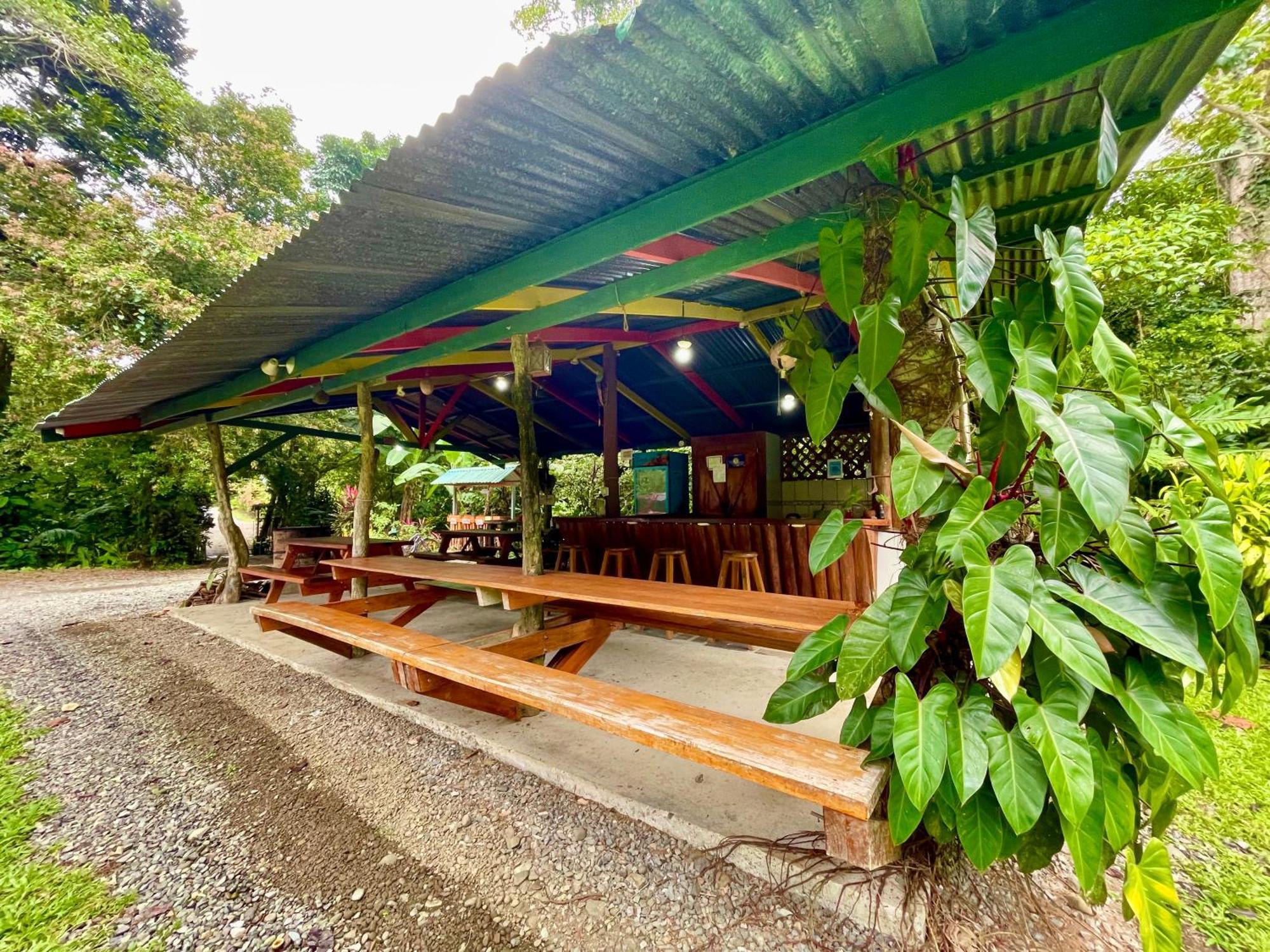 Alouatta Lodge And Canopy กาอุยตา ภายนอก รูปภาพ