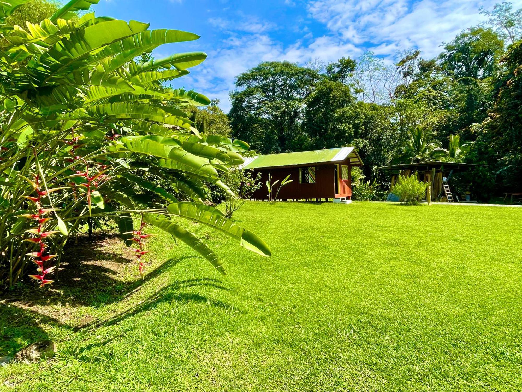 Alouatta Lodge And Canopy กาอุยตา ภายนอก รูปภาพ