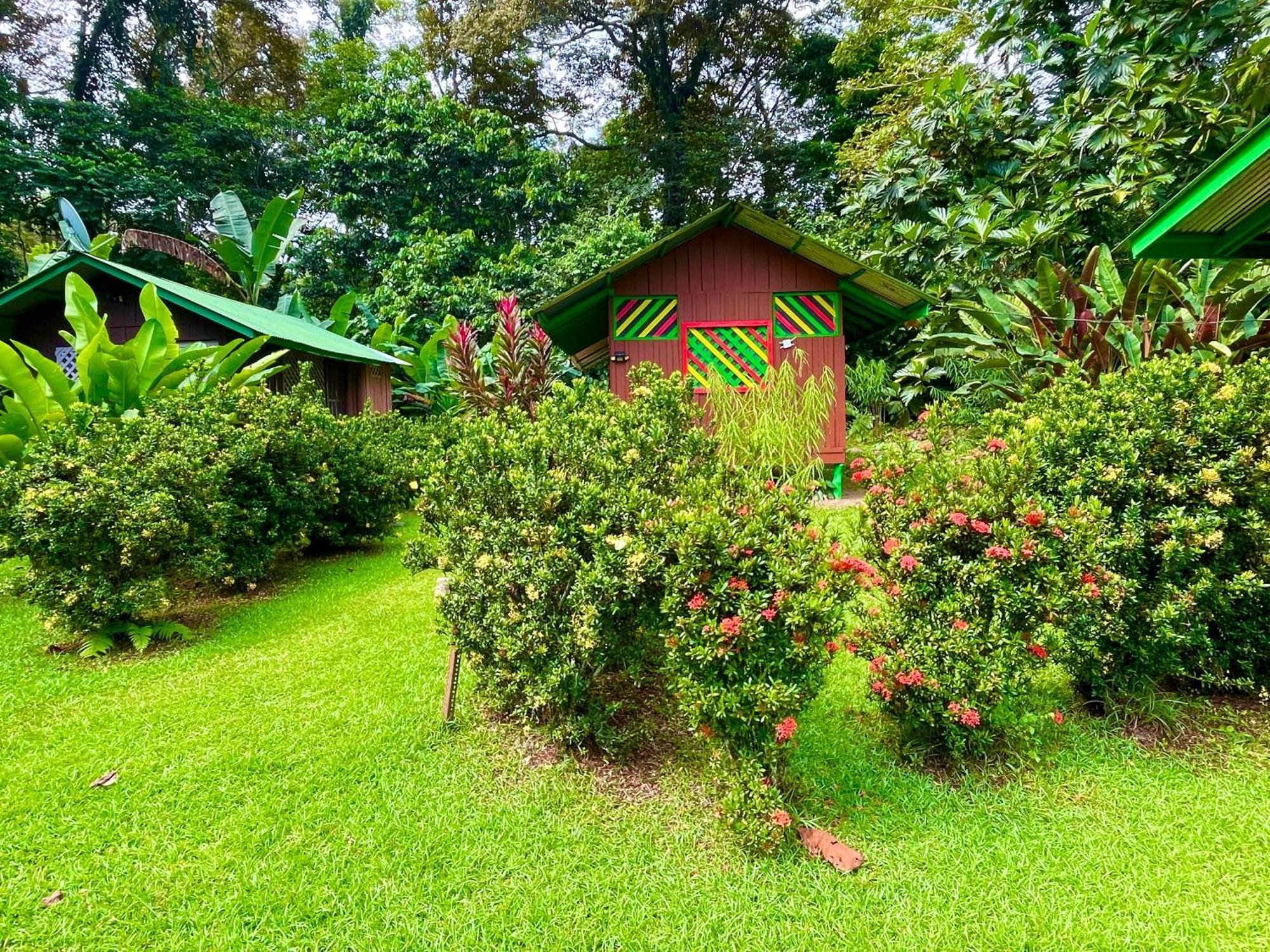 Alouatta Lodge And Canopy กาอุยตา ภายนอก รูปภาพ