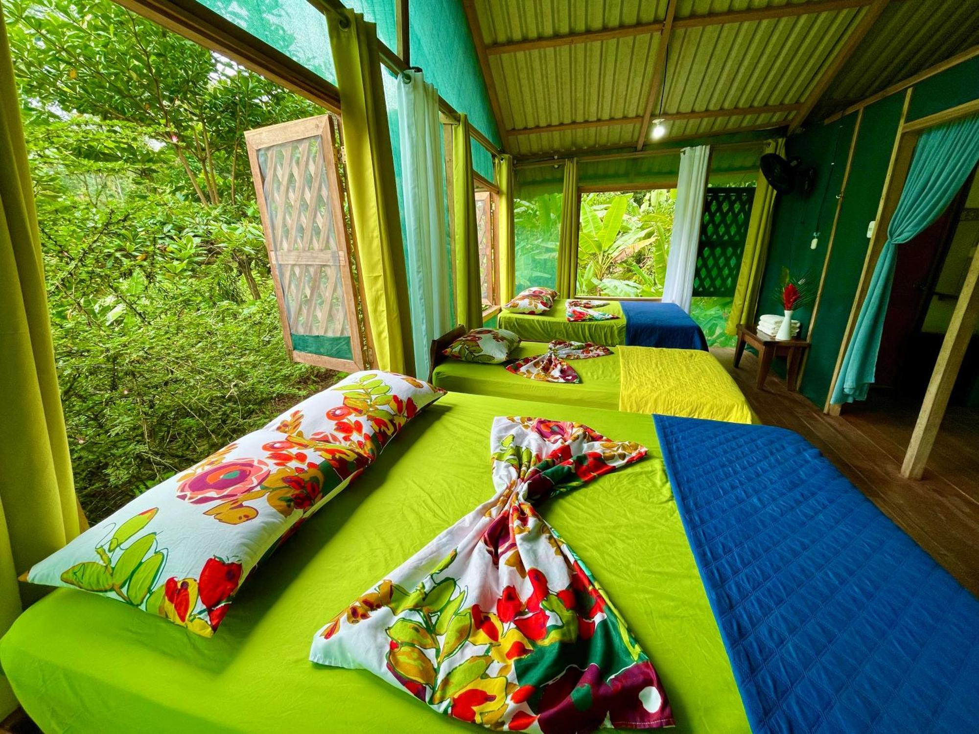 Alouatta Lodge And Canopy กาอุยตา ภายนอก รูปภาพ