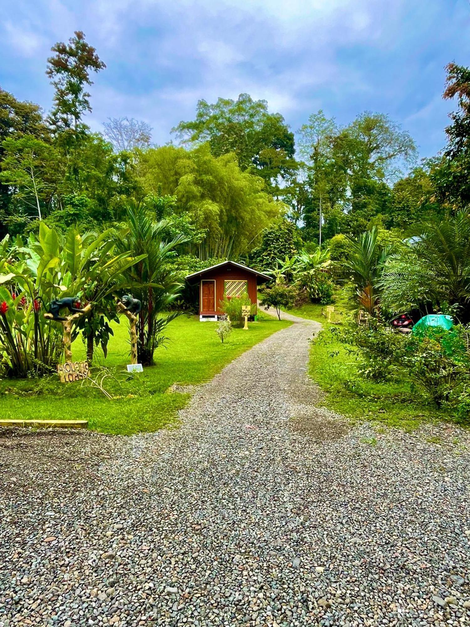 Alouatta Lodge And Canopy กาอุยตา ภายนอก รูปภาพ