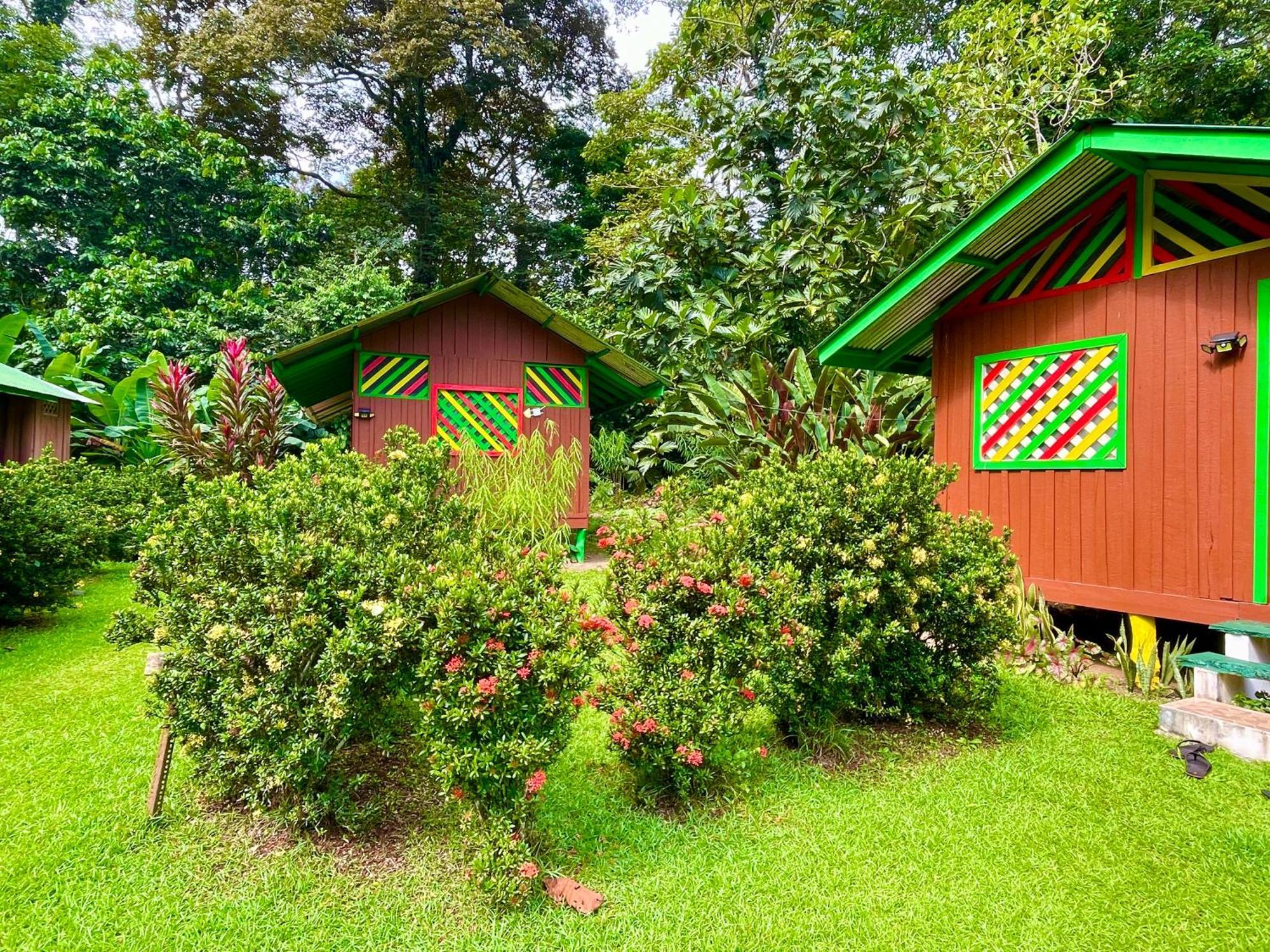 Alouatta Lodge And Canopy กาอุยตา ภายนอก รูปภาพ