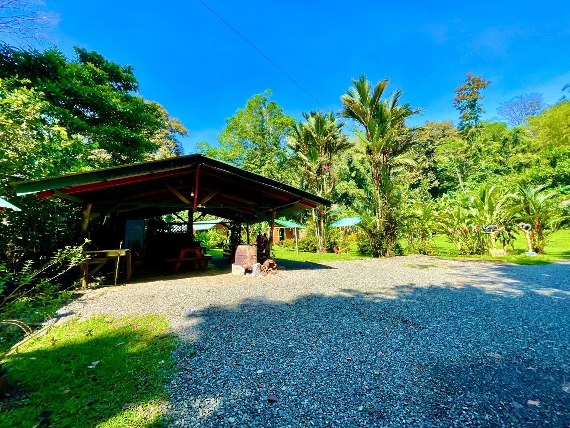 Alouatta Lodge And Canopy กาอุยตา ภายนอก รูปภาพ