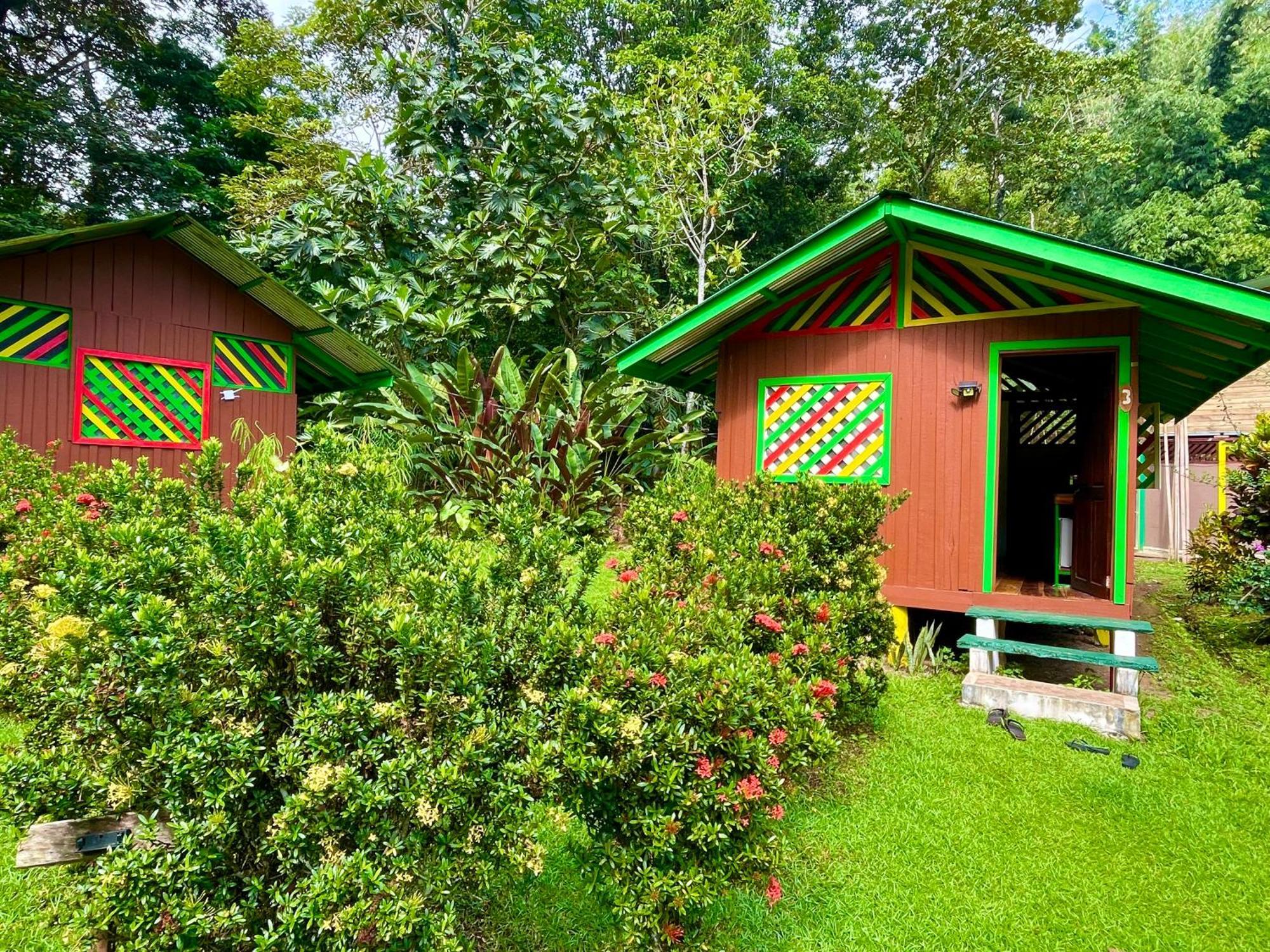 Alouatta Lodge And Canopy กาอุยตา ภายนอก รูปภาพ