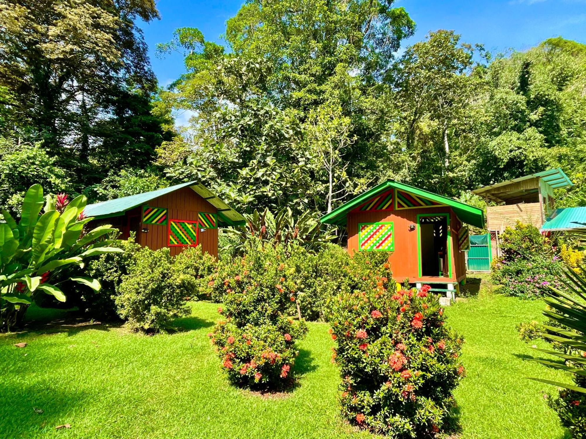 Alouatta Lodge And Canopy กาอุยตา ภายนอก รูปภาพ