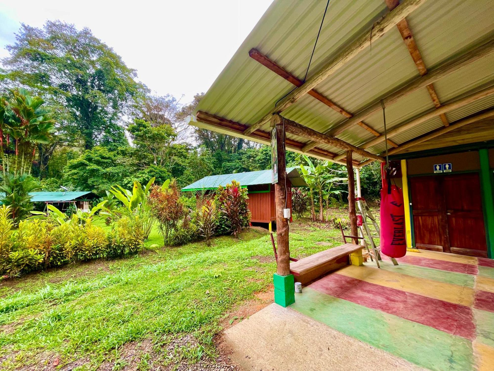 Alouatta Lodge And Canopy กาอุยตา ภายนอก รูปภาพ