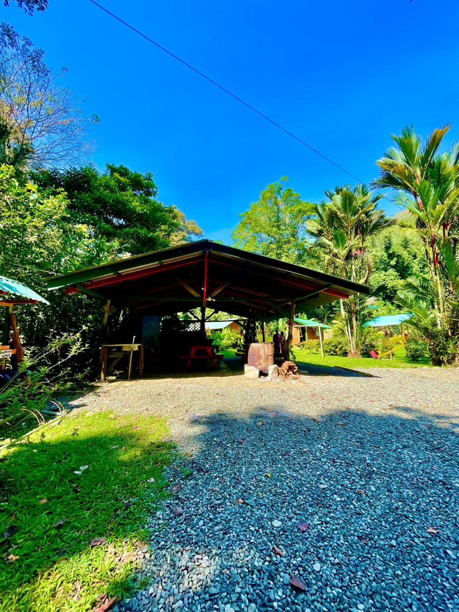 Alouatta Lodge And Canopy กาอุยตา ภายนอก รูปภาพ