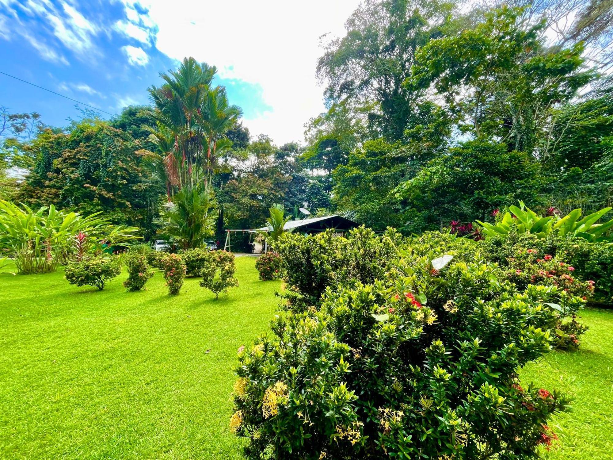 Alouatta Lodge And Canopy กาอุยตา ภายนอก รูปภาพ