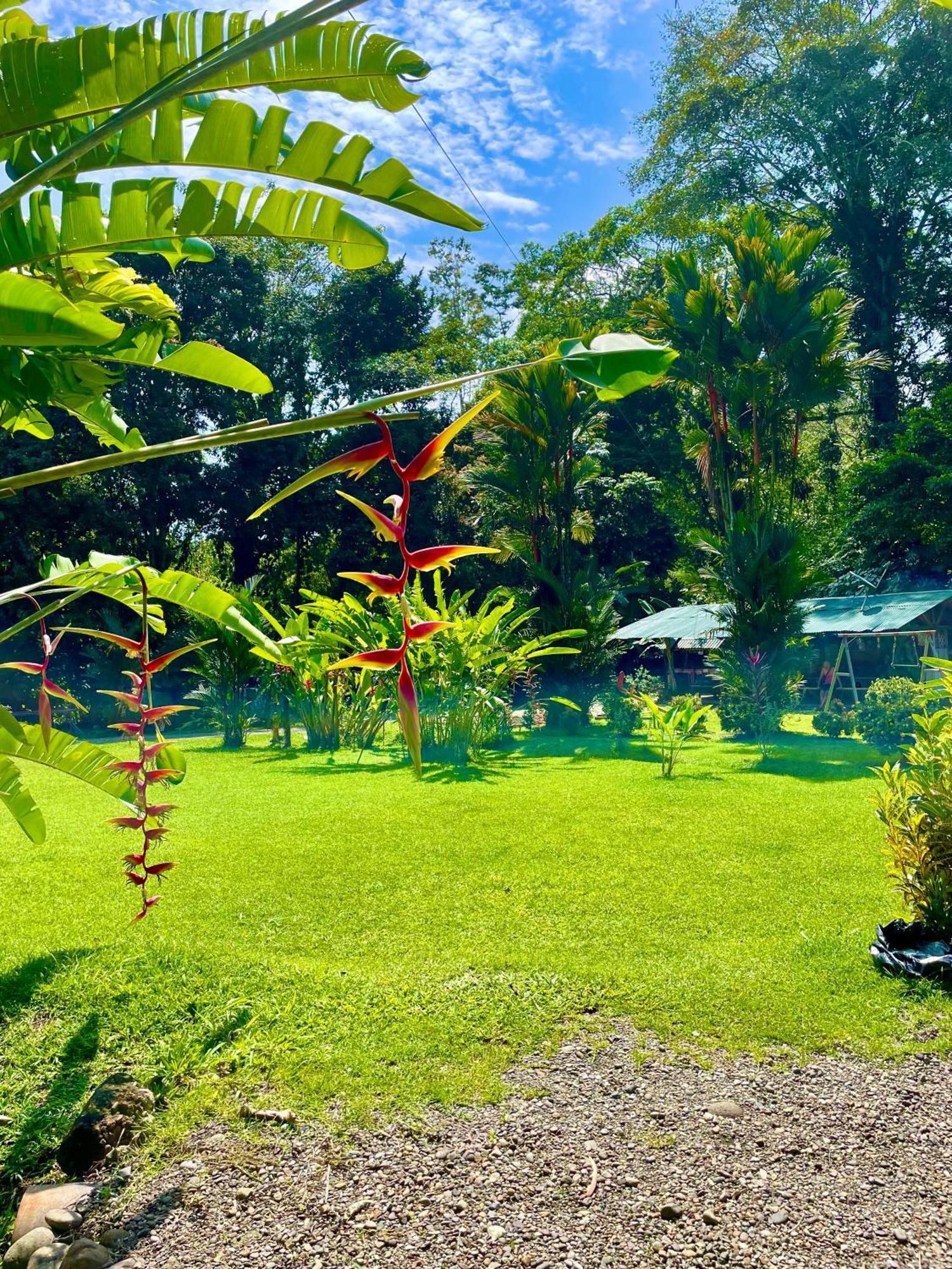 Alouatta Lodge And Canopy กาอุยตา ภายนอก รูปภาพ