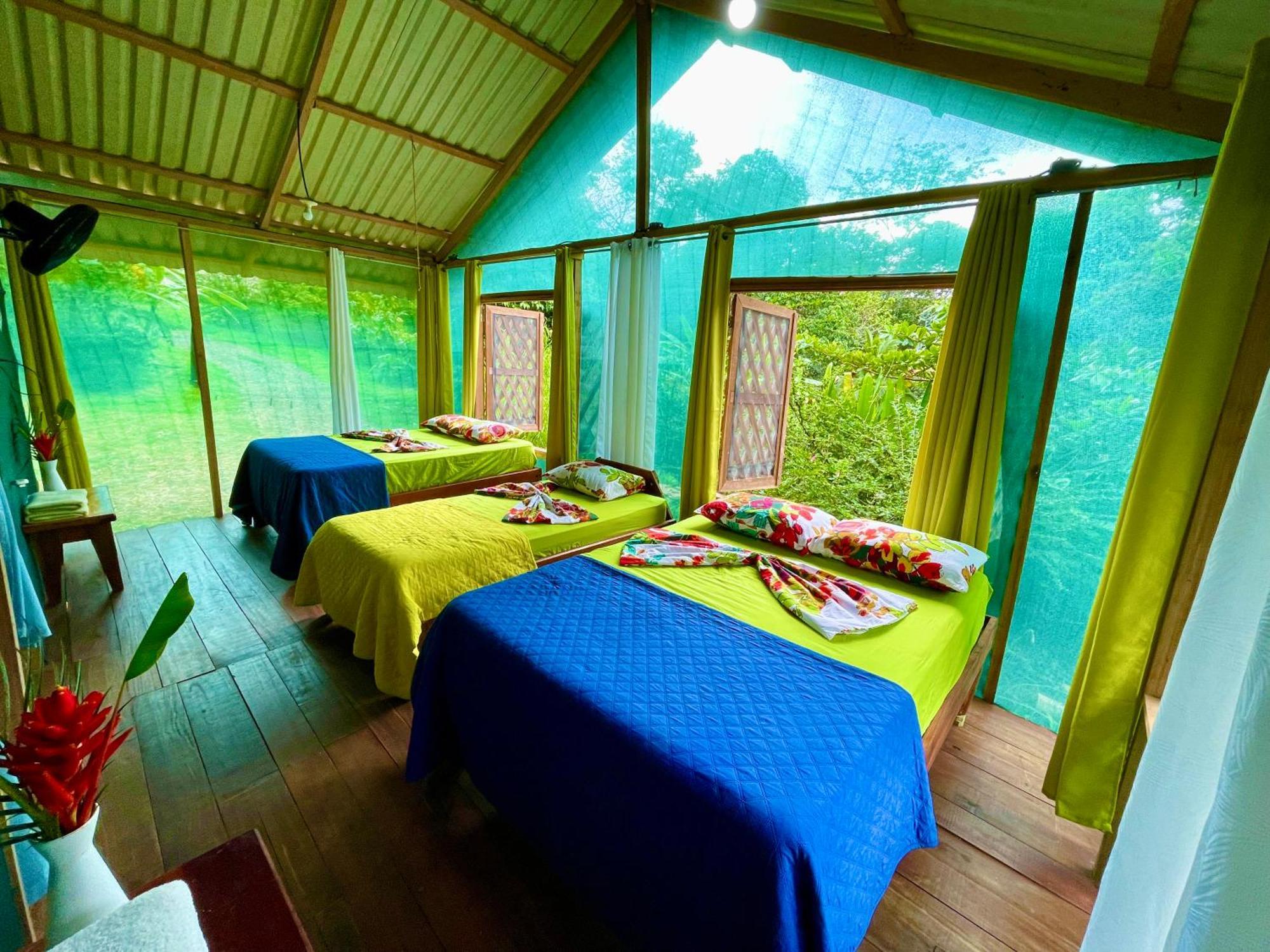 Alouatta Lodge And Canopy กาอุยตา ภายนอก รูปภาพ