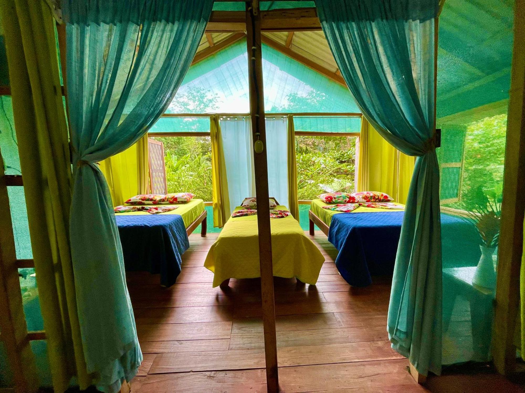 Alouatta Lodge And Canopy กาอุยตา ภายนอก รูปภาพ