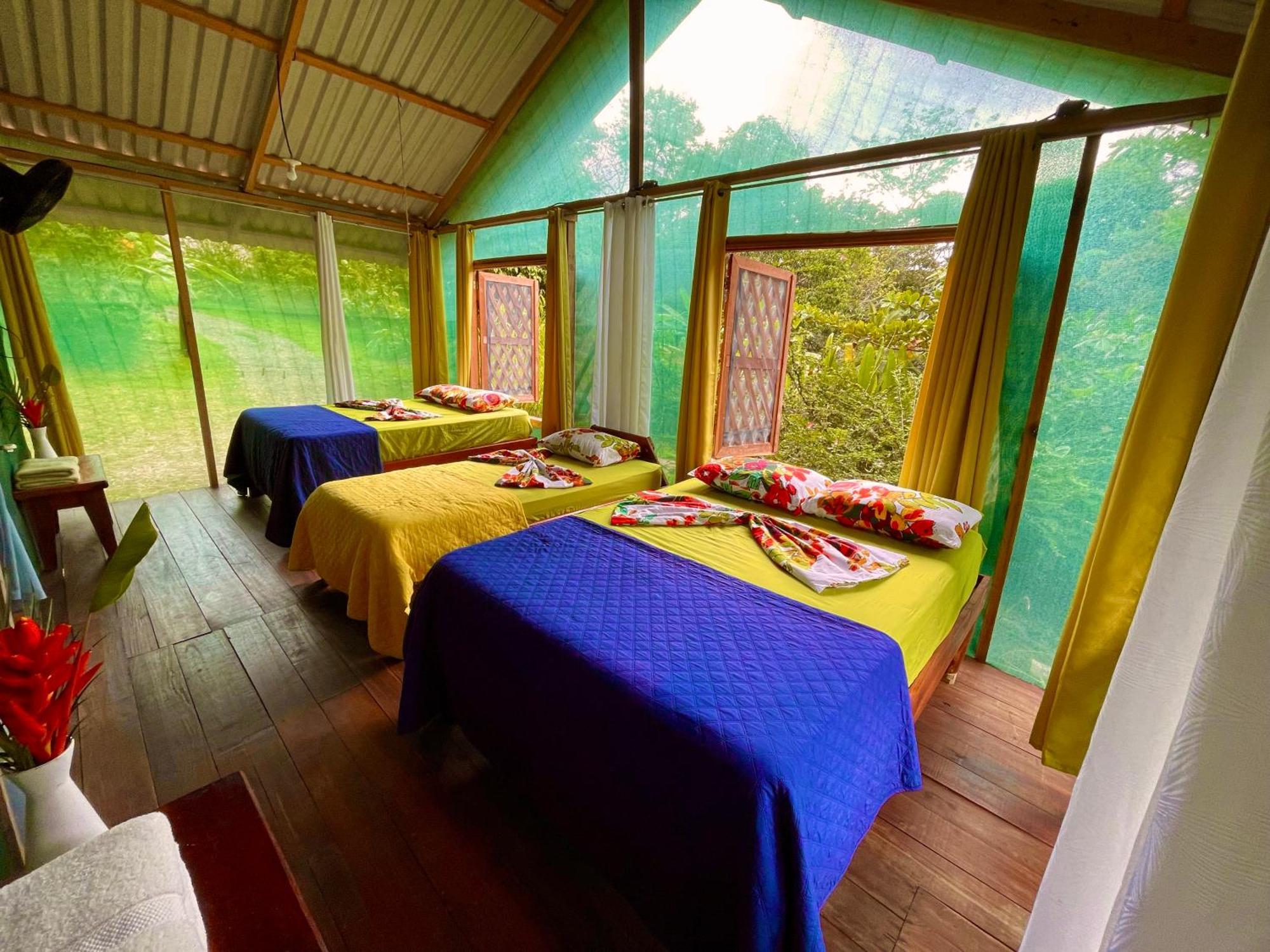 Alouatta Lodge And Canopy กาอุยตา ภายนอก รูปภาพ