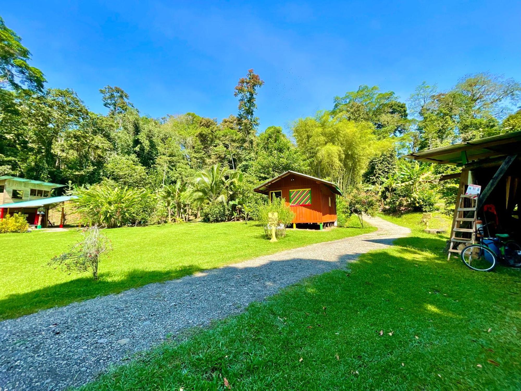 Alouatta Lodge And Canopy กาอุยตา ภายนอก รูปภาพ