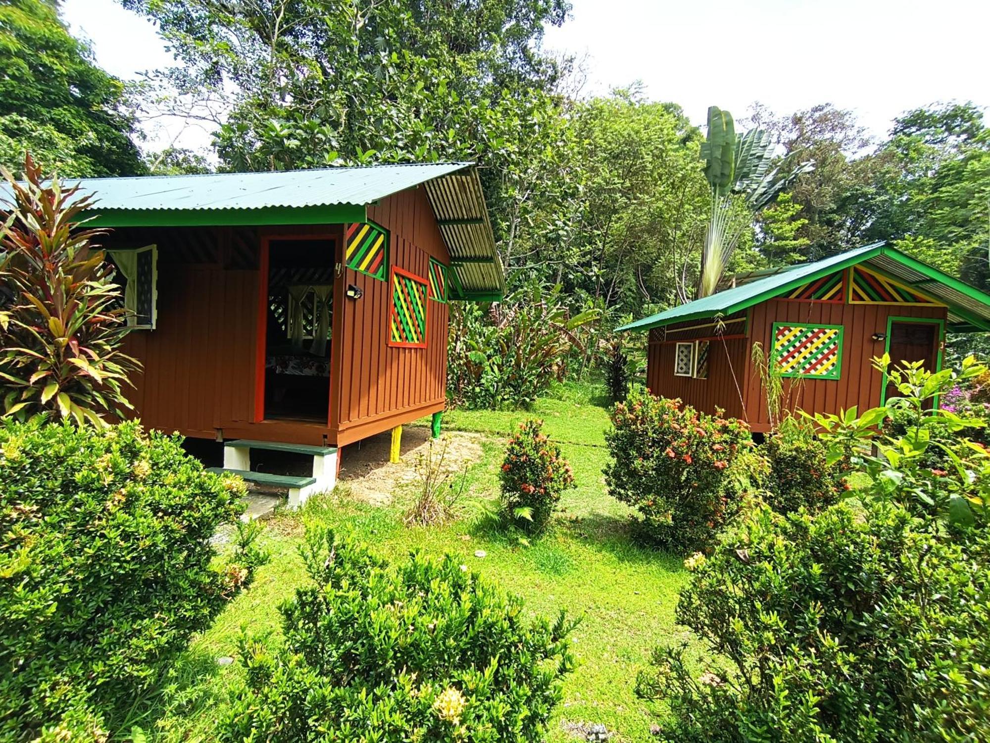 Alouatta Lodge And Canopy กาอุยตา ภายนอก รูปภาพ