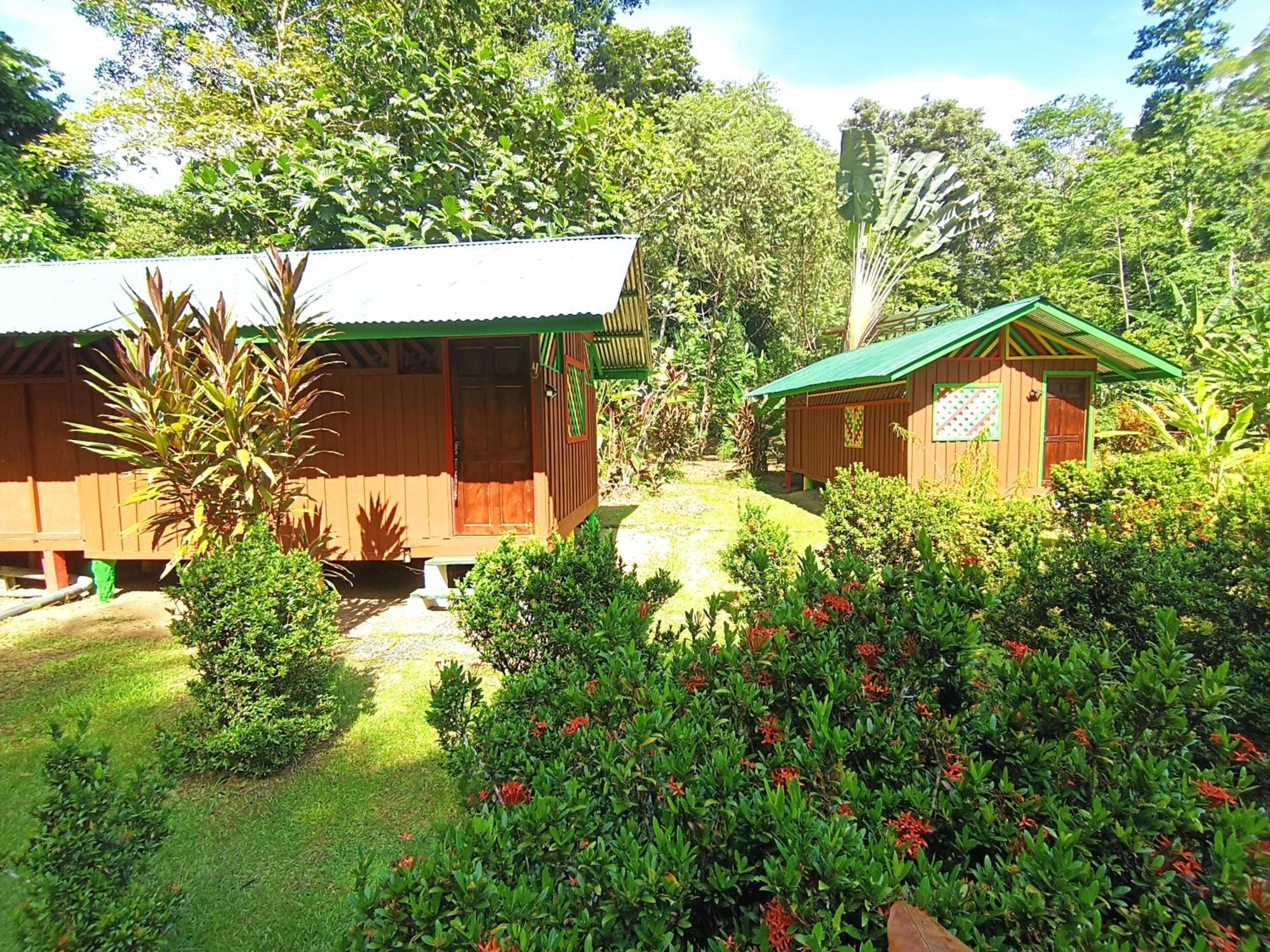 Alouatta Lodge And Canopy กาอุยตา ภายนอก รูปภาพ