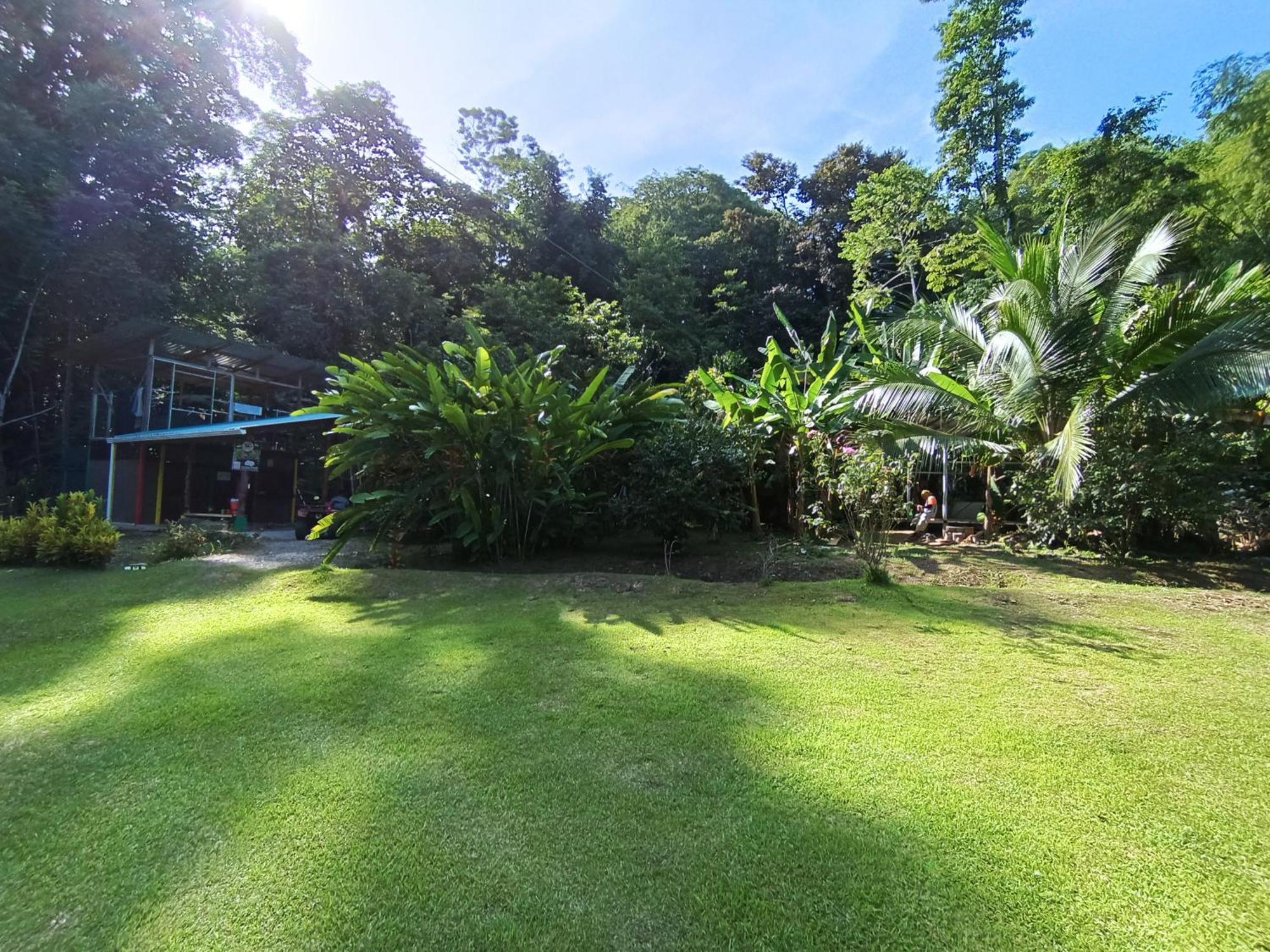 Alouatta Lodge And Canopy กาอุยตา ภายนอก รูปภาพ